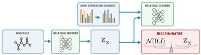 Molecular Generation for Desired Transcriptome Changes With Adversarial Autoencoders